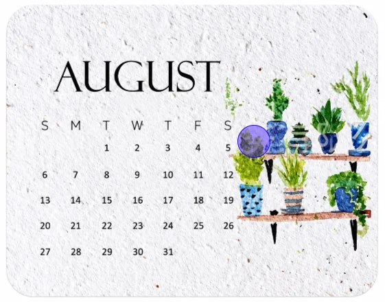 ✨Early Holiday Sale 47% OFF🌱Eco-Friendly Plantable “Timeless” Seed Calendar 2027